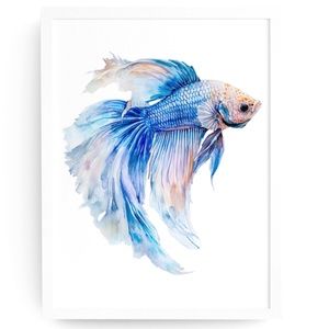 Watercolor Betta Fish Wall Art Illustration Print Poster Unframed